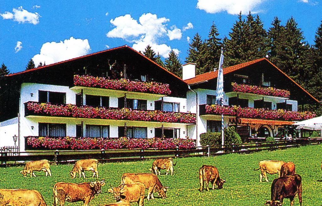 Farchanter Alm Esterno foto